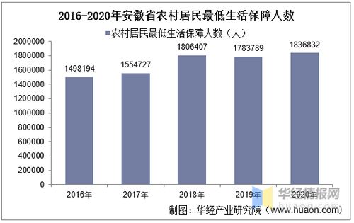 乡村日常物品使用指南，轻松上手，生活更美好