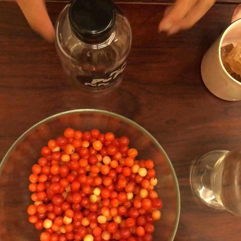 探寻密封性佳的白酒品牌，品质生活从一瓶好酒开始