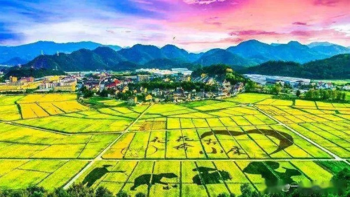 乡村振兴，塑形之路，如何让乡村焕发新活力