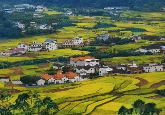 乡村振兴，塑形之路，如何让乡村焕发新活力
