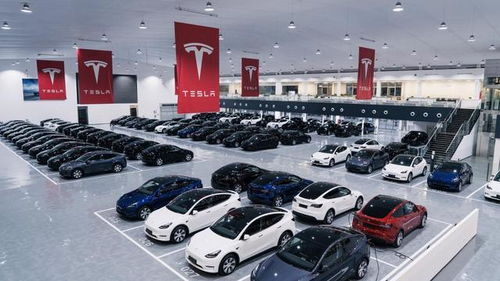 工厂车与品牌车，一场关于品质与价值的较量