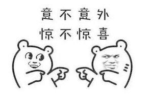 情侣刺激玩具大盘点，品牌、种类及使用案例