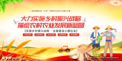 选调生在乡村振兴中的角色与行动指南