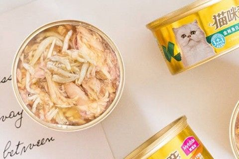 揭秘那些让人掩鼻而过的气味大猫零食品牌，你家猫中招了吗？