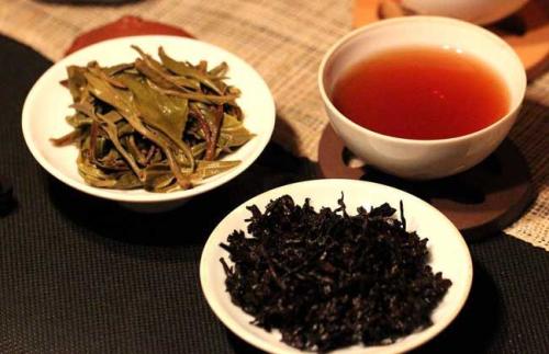 云南普洱茶的魅力之旅—探寻只卖普洱的茶叶品牌