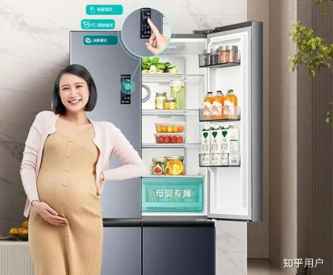 3000元预算，如何挑选心仪的冰箱品牌？