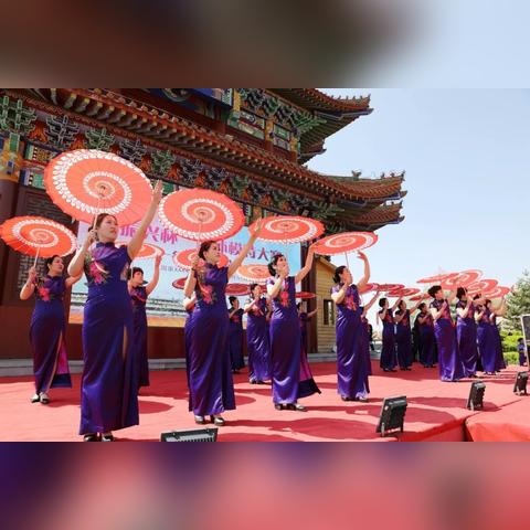 青年力量助振兴—青年团体在乡村振兴中的实践与探索