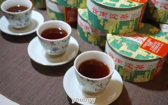 永春茶叶界的网红品牌大盘点，品味永春，尽在这一杯！