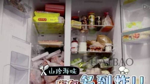 鸭绒被能不能放烘干机里烘？揭秘真相与注意事项