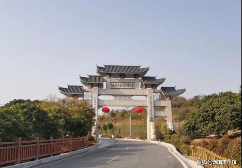 中药种植加盟店热门品牌推荐