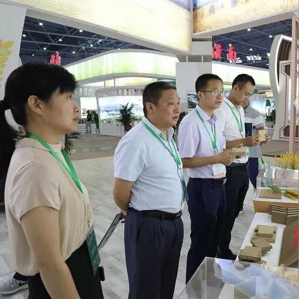 万华柜子板材品牌深度解析，品质与口碑的双重保障