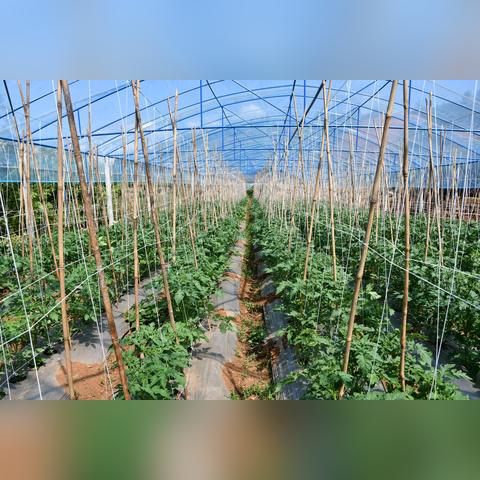 资源型乡村转型攻略，从卖资源到卖风景