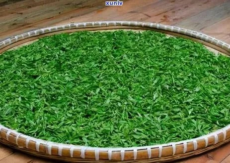 天津绿色茶叶品牌大盘点，品味健康，绿色先行