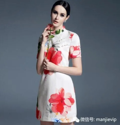 飞马图案旗袍，时尚与传统交融的东方韵味