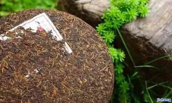 揭秘像蚂蚁的茶叶—探寻神秘品牌背后的故事