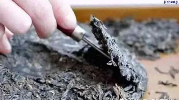 揭秘像蚂蚁的茶叶—探寻神秘品牌背后的故事