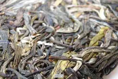 揭秘像蚂蚁的茶叶—探寻神秘品牌背后的故事