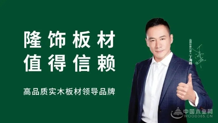 隆饰板材，揭秘十大品牌之一，品质与口碑的完美结合