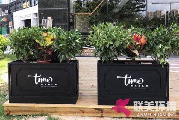 杭州户外花桶品牌商—绿意盎然，美化生活
