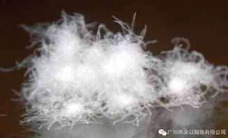 探寻优质鸭绒被的秘密，哪里产出的鸭绒被更胜一筹？