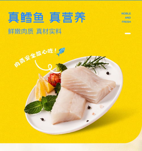 如何挑选优质的鳕鱼零食品牌—全方位指南