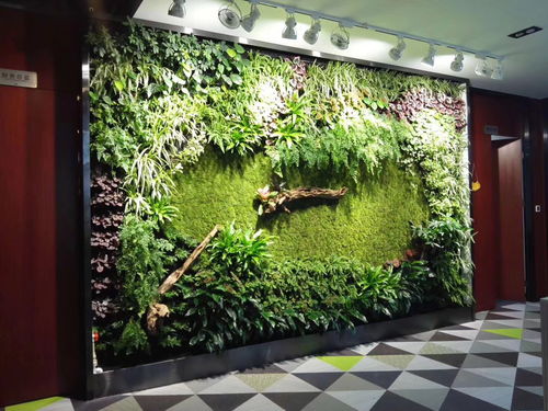 长沙植物墙加盟品牌大揭秘