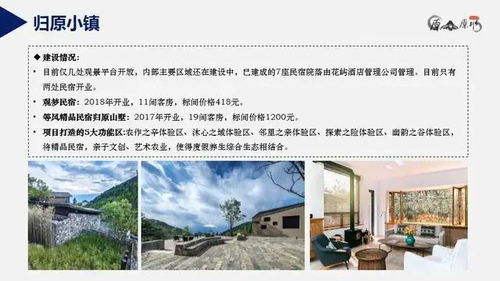 如何成为一名优秀的乡村振兴书记—实战指南与案例分析