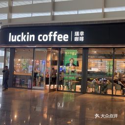 咖啡加盟店铺推荐品牌大盘点，热门加盟品牌一览