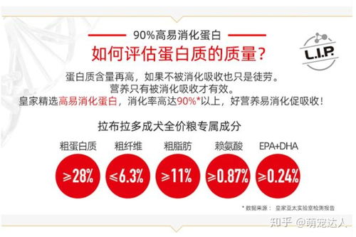 适合海外加盟的品牌推荐