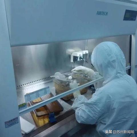协和生物医药品牌，传承与创新的典范