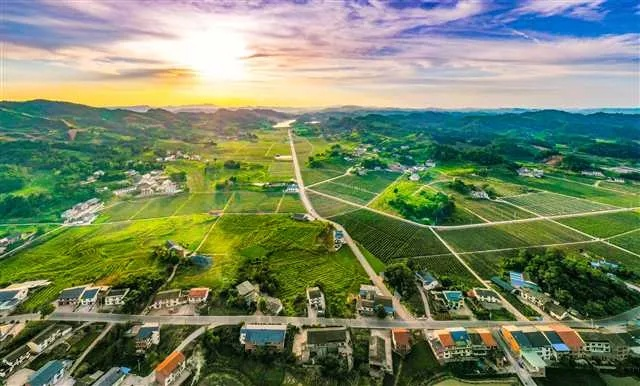 乡村振兴，村庄发展的金钥匙