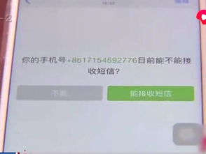微信号码背后的秘密，如何轻松查到对方的联系方式