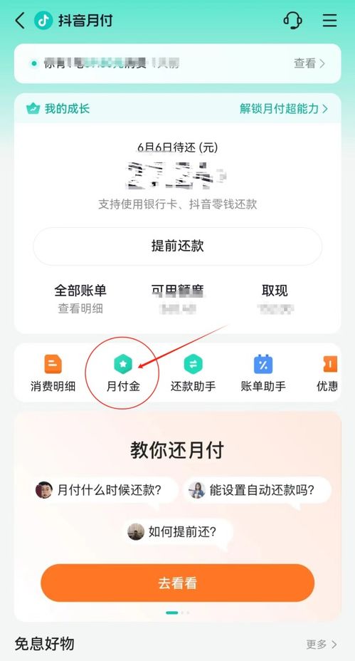 抖音月付购物退货套现攻略