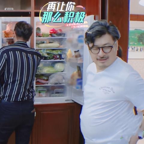 揭秘超薄冰箱界的瘦身达人—十大品牌排行榜