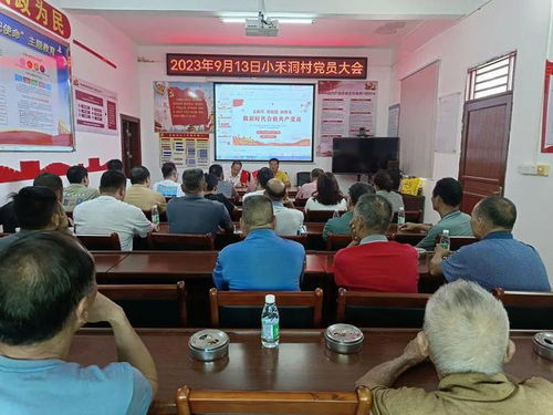 社区工作在乡村振兴中的关键作用与实践案例