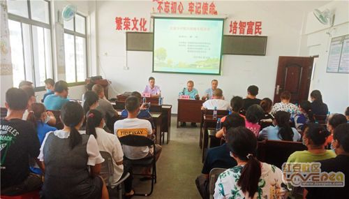 社区工作在乡村振兴中的关键作用与实践案例