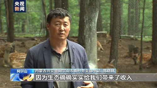 乡村食叔的致富之路，揭秘他的赚钱秘诀