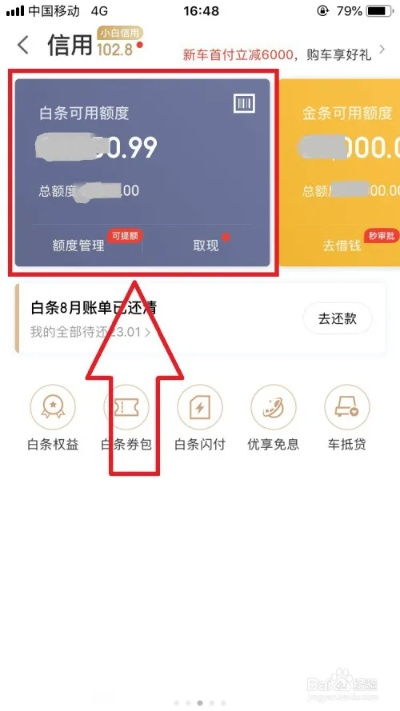 白条自己套出来流程 白条自己套出来流程指南
