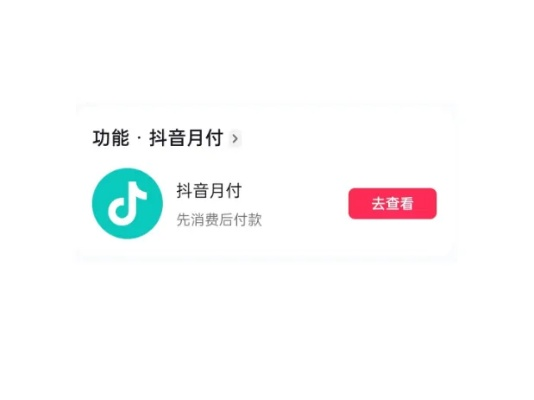 抖音月付最多取现多少钱 抖音月付最多取现金额大揭秘！
