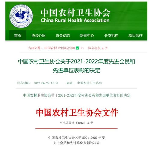 如何成为一名优秀的乡村党建宣传员—实战指南与案例分析