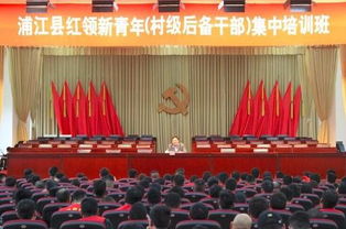如何成为一名优秀的乡村党建宣传员—实战指南与案例分析