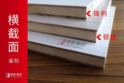 盛燊板材品牌深度解析，品质与口碑的双赢之道