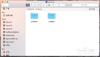 电脑系统选购指南，Windows、macOS还是Linux？