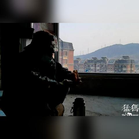 聚蒙国际板材，揭秘这个知名品牌的背后故事