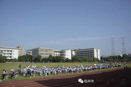 盘点平价好用的玩具手机品牌，让孩子快乐成长！