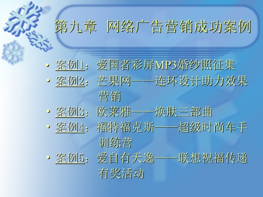 网站广告的五大特点解析及案例分析