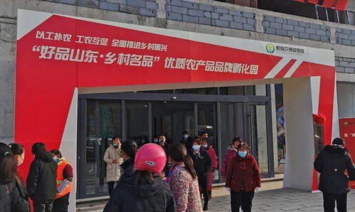 山东农产品加盟品牌大全