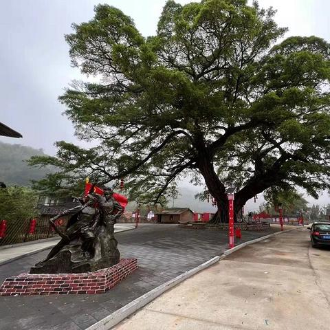 互联网助力乡村治理，智慧乡村的新引擎