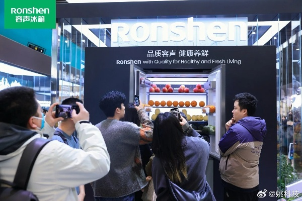 盘点国货之光—那些值得信赖的冰箱品牌