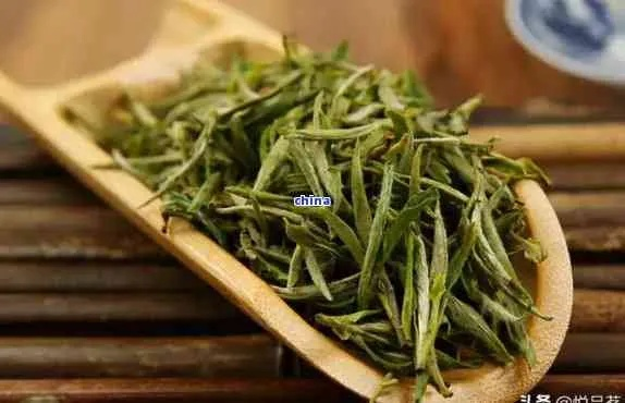 为长辈挑选黄山茶叶，这几种品牌值得推荐！